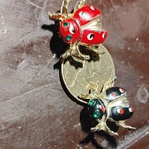 Vintage Ladybug Brooch Set - Red and Black